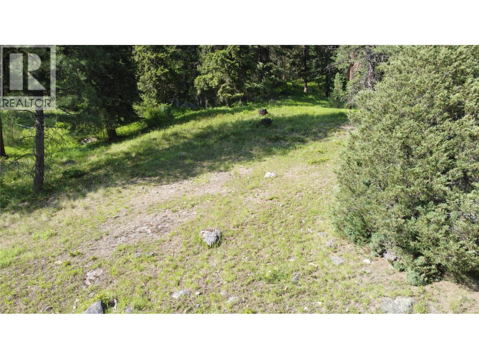 40 Acres Shuswap River Drive Property Photo 17