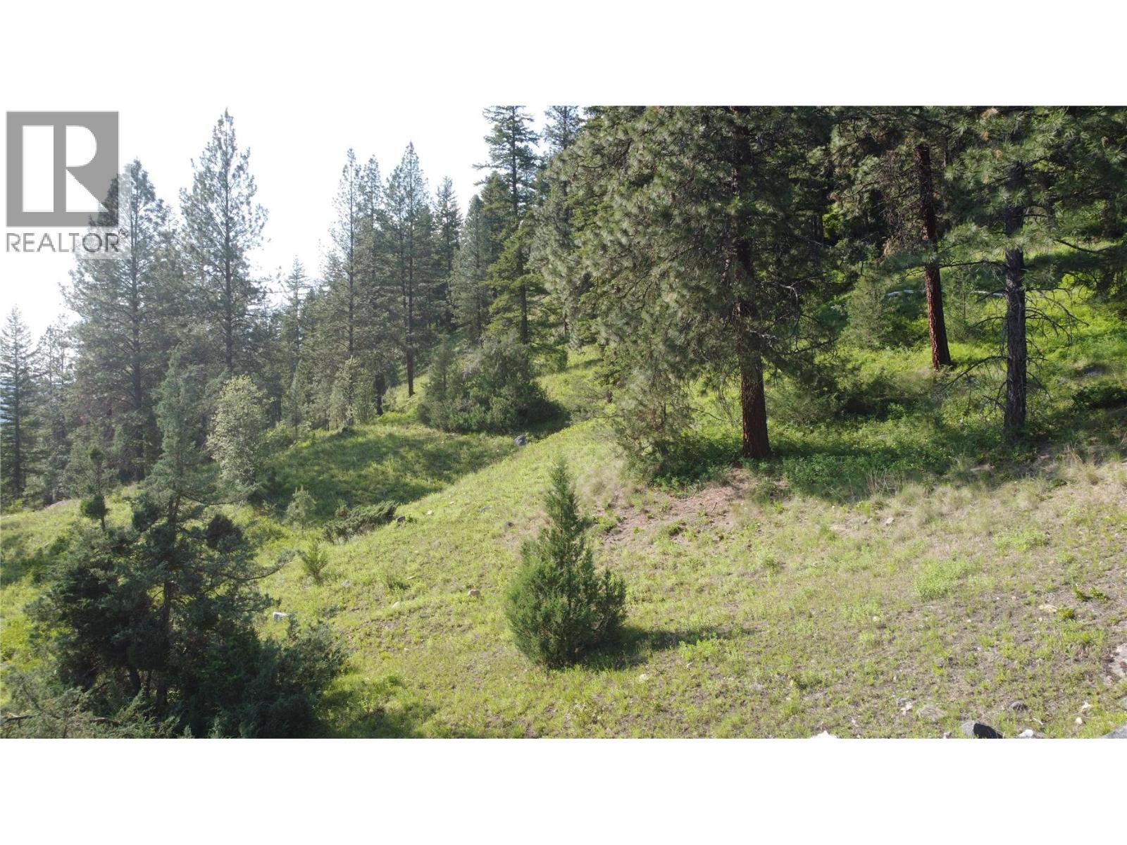 40 Acres Shuswap River Drive Property Photo 18