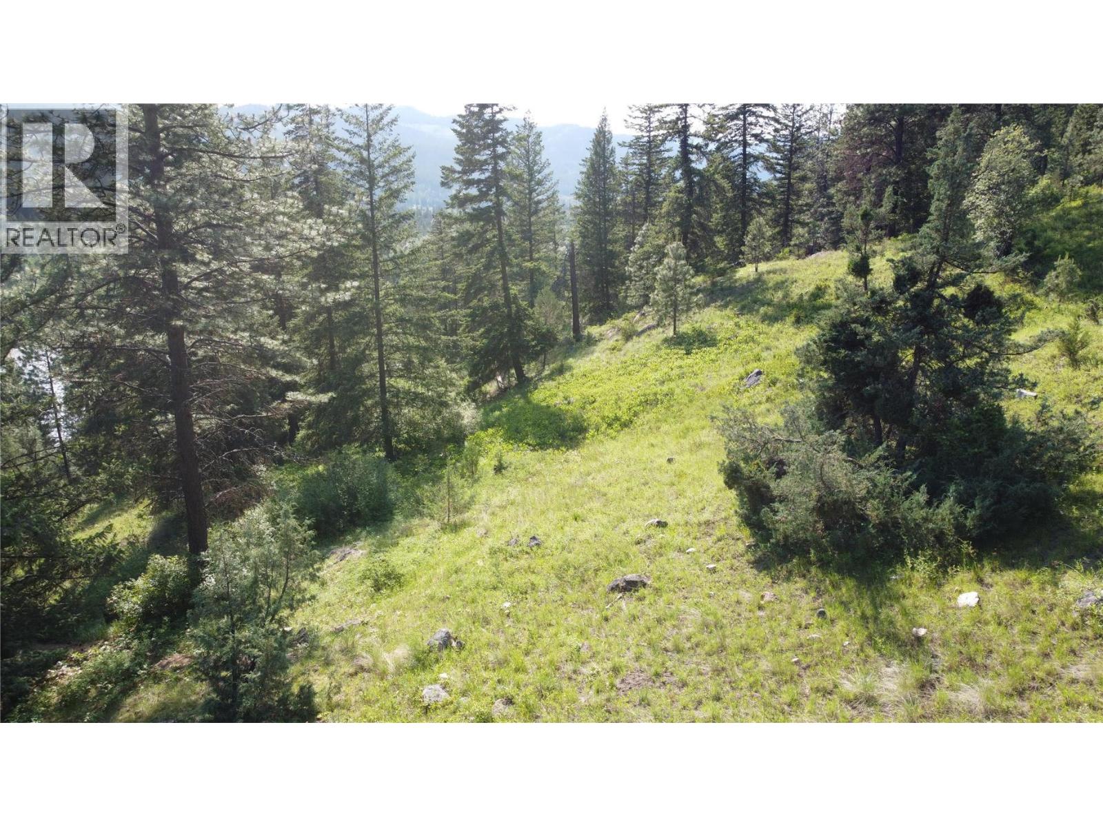 40 Acres Shuswap River Drive Property Photo 19