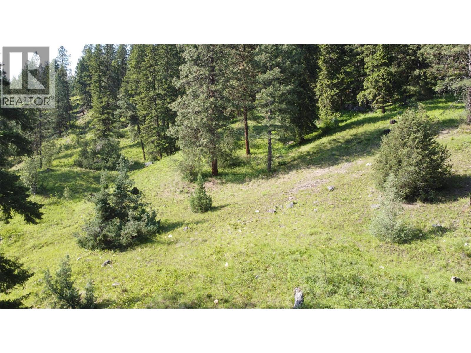 40 Acres Shuswap River Drive Property Photo 20