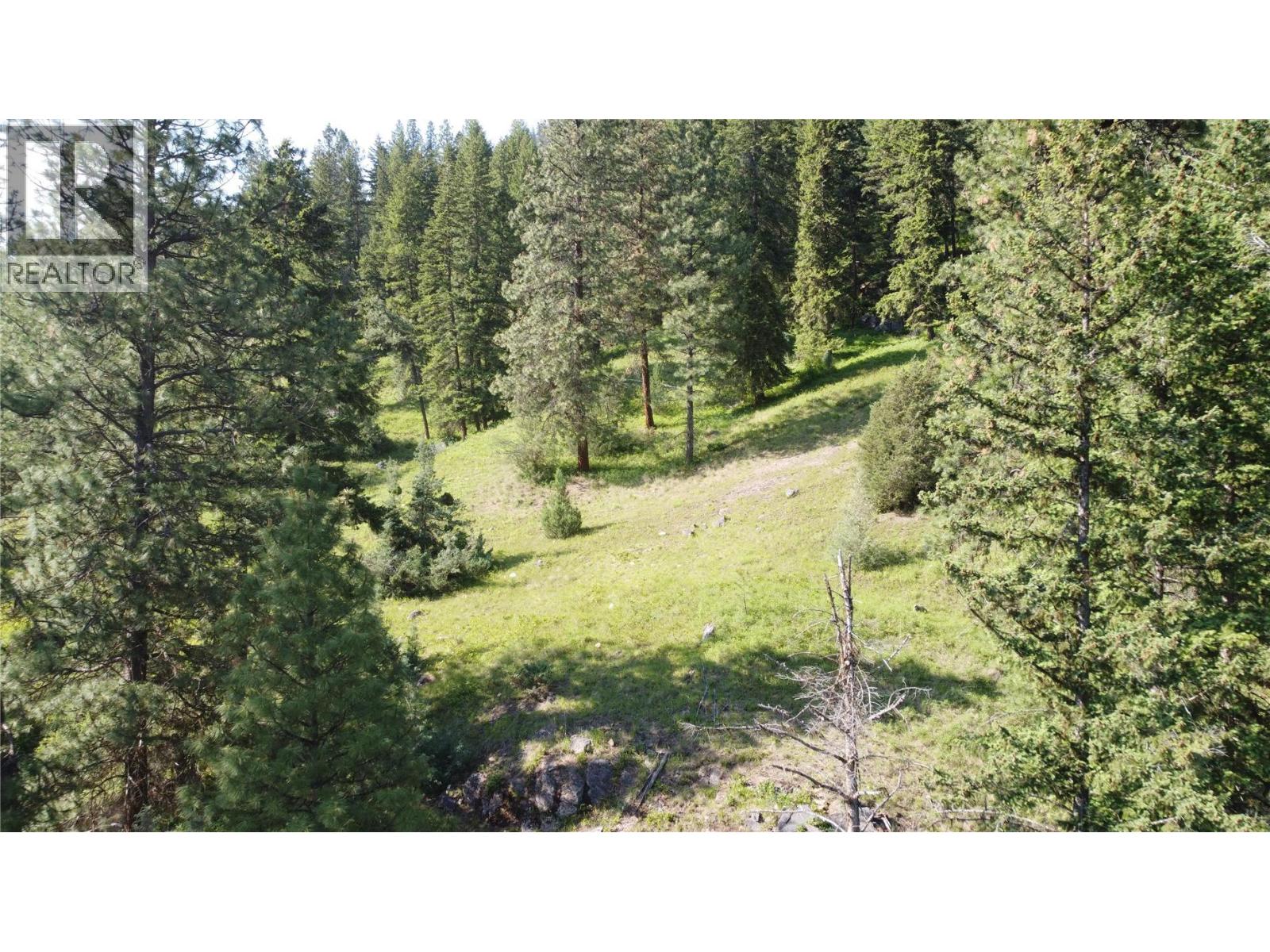 40 Acres Shuswap River Drive Property Photo 21