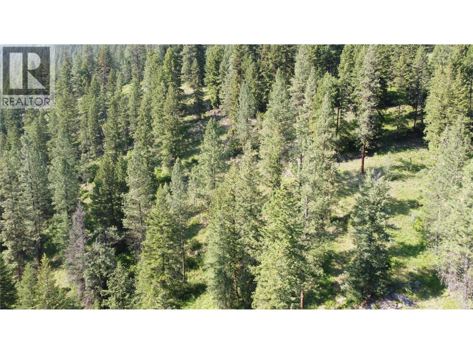40 Acres Shuswap River Drive Property Photo 23