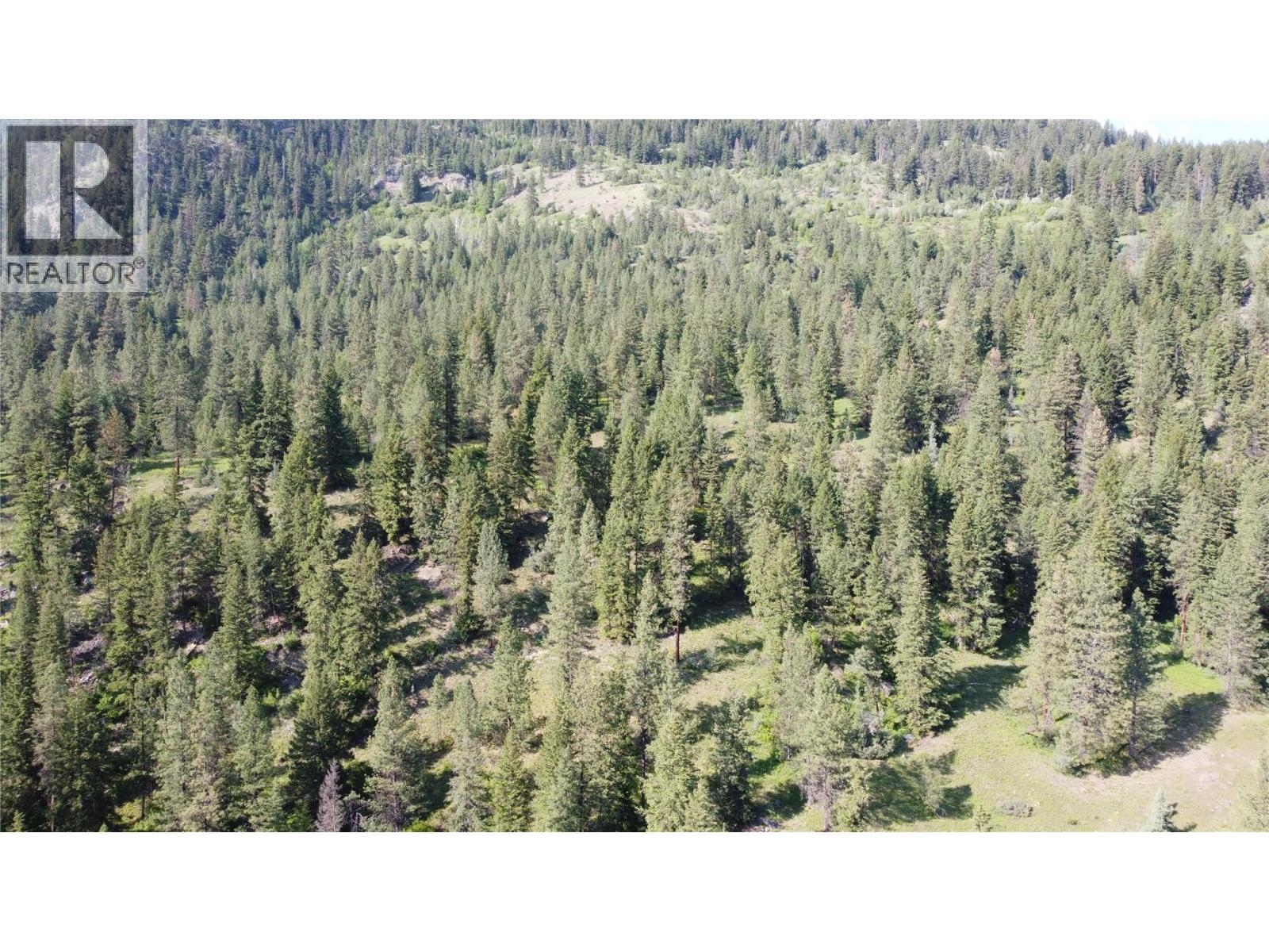 40 Acres Shuswap River Drive Property Photo 26
