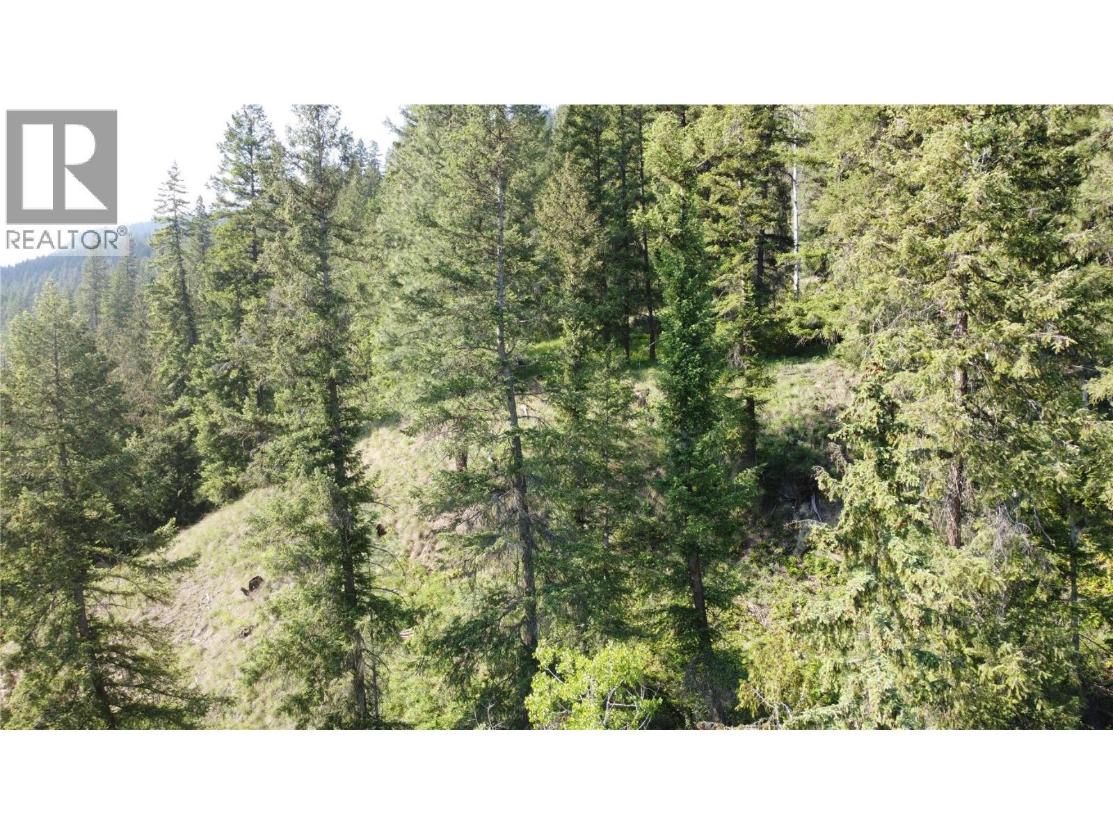 40 Acres Shuswap River Drive Property Photo 27