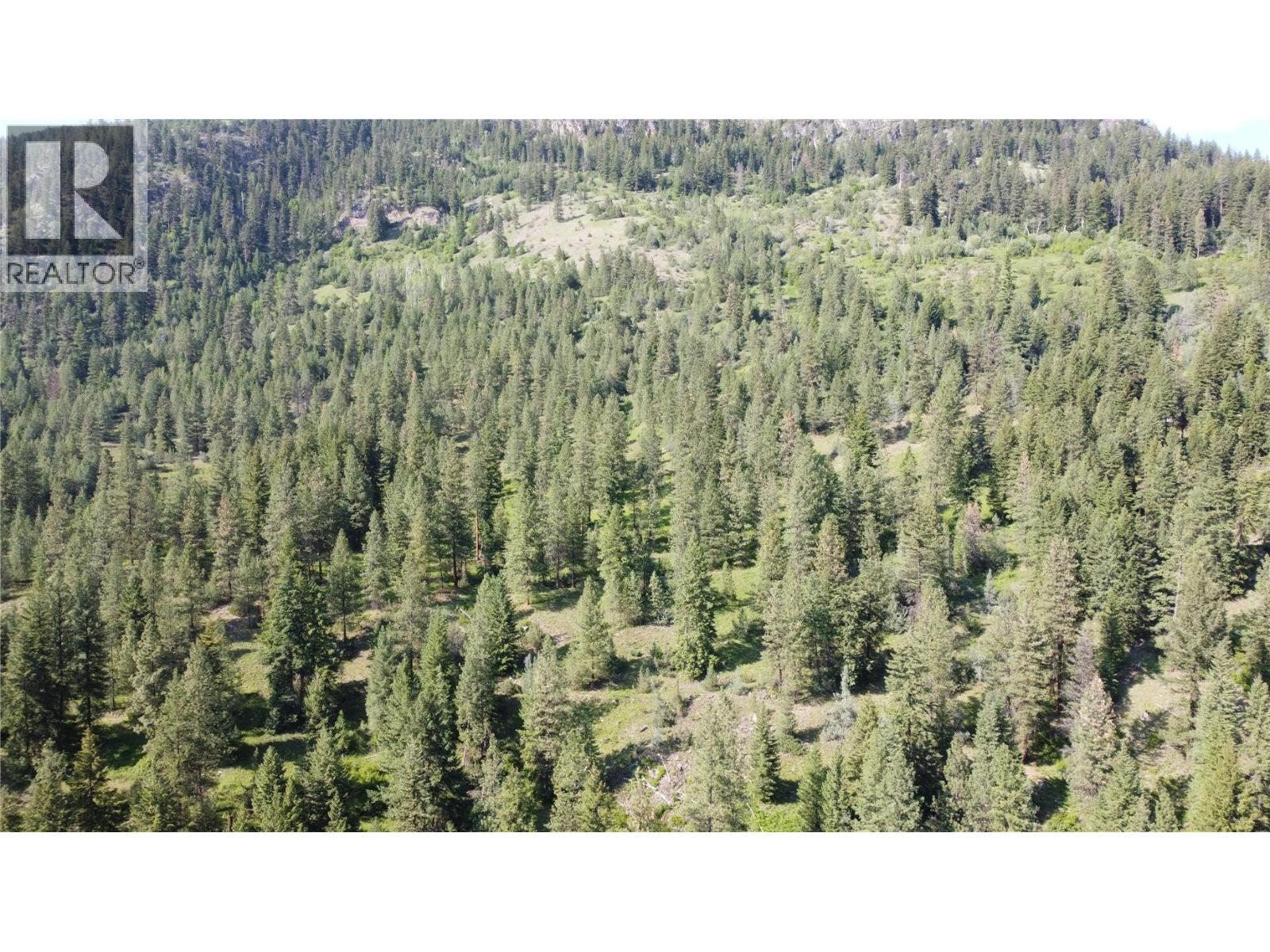 40 Acres Shuswap River Drive Property Photo 28