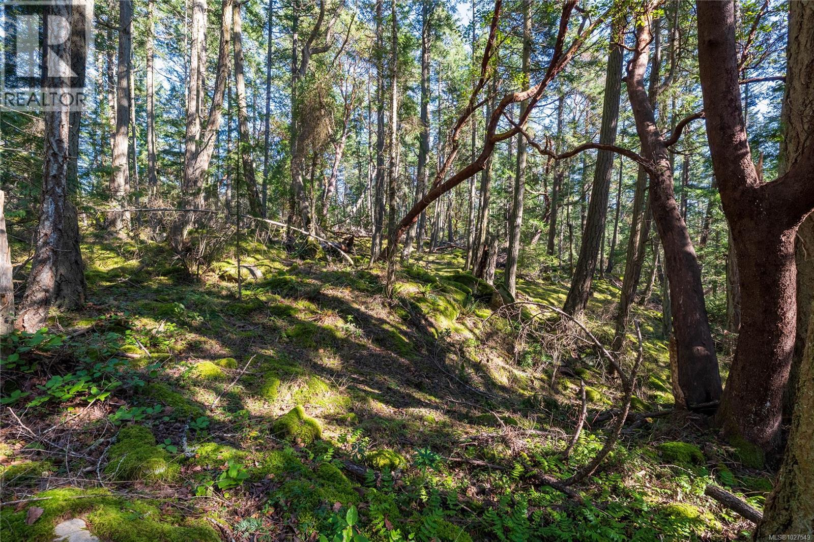 Lot 1 Old Scott Rd Property Photo 7
