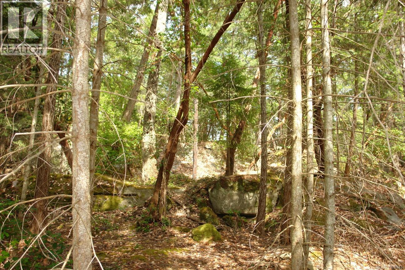 106 Halibut Hill Rd Property Photo 4
