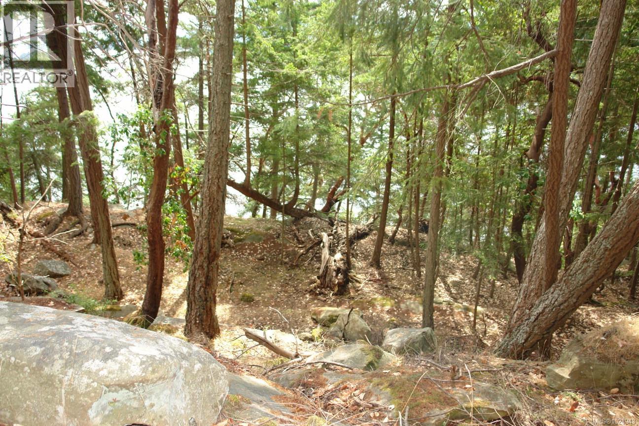 106 Halibut Hill Rd Property Photo 5