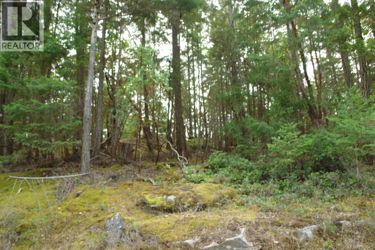 106 Halibut Hill Rd Property Photo 8