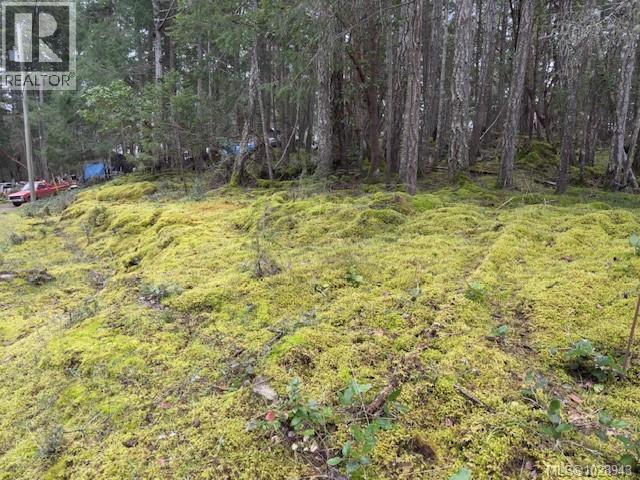 106 Halibut Hill Rd Property Photo 11