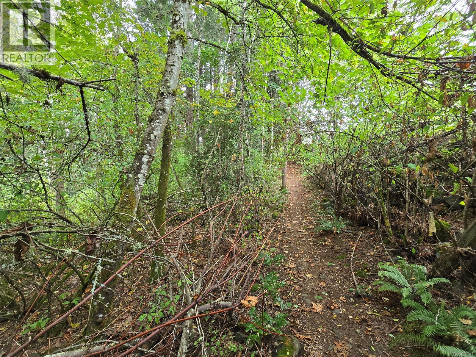Lot A St. Ann's Dr Property Photo 10