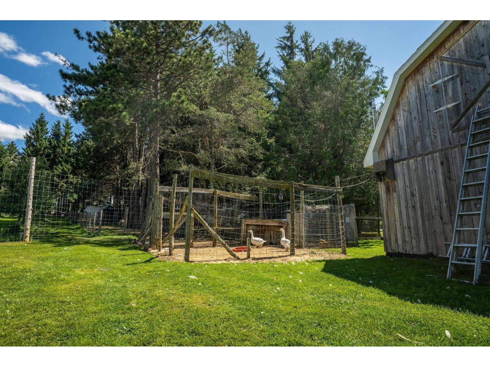 110 1er Rang Property Photo 42