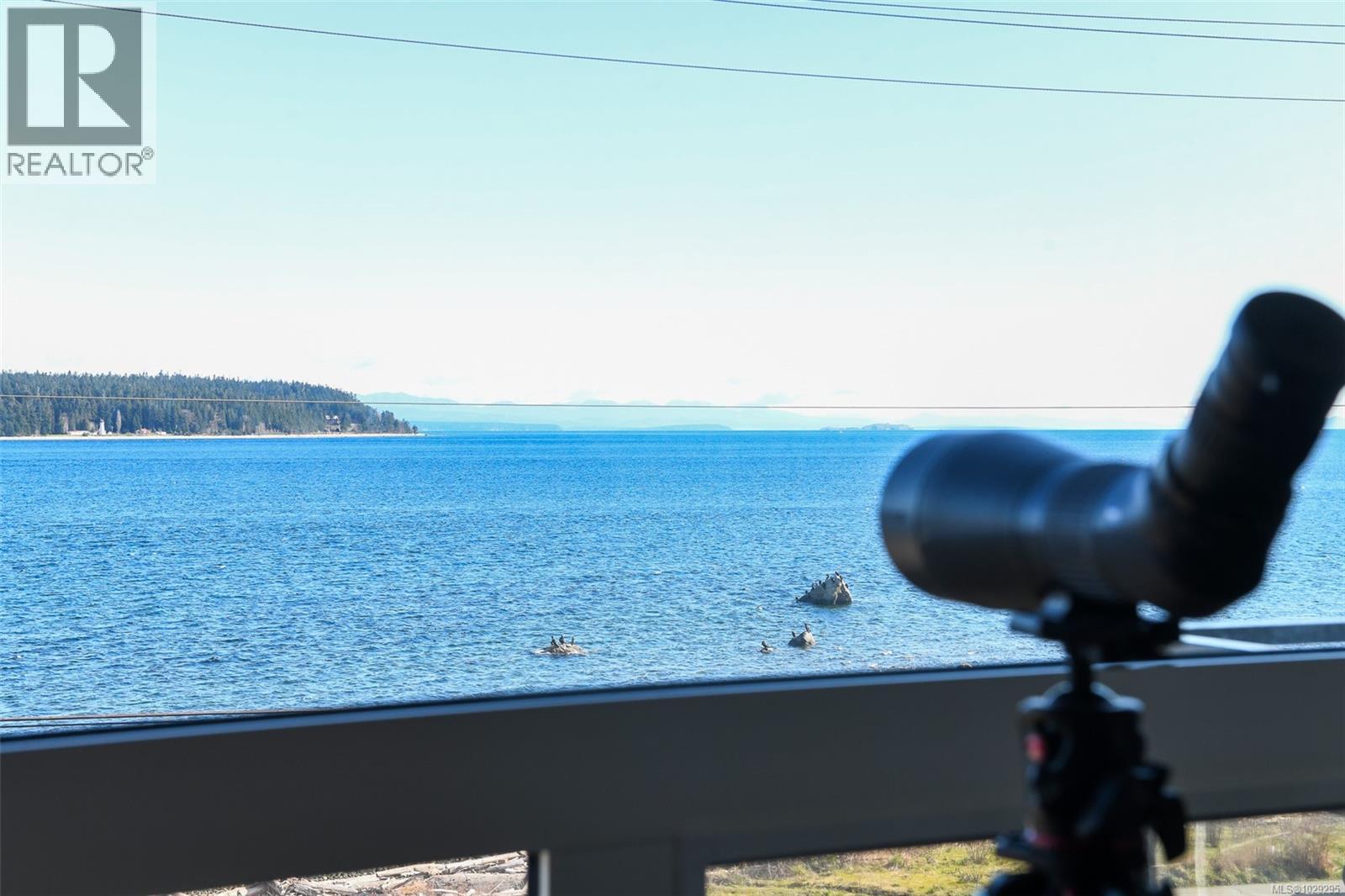 302 536 Island Hwy Property Photo 2