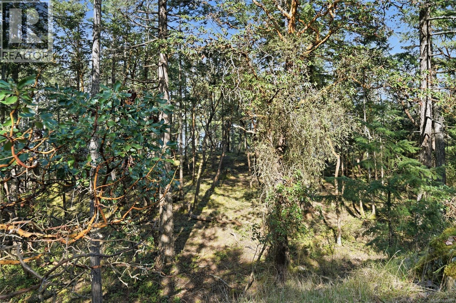 4800 Mcguffie Rd Property Photo 27