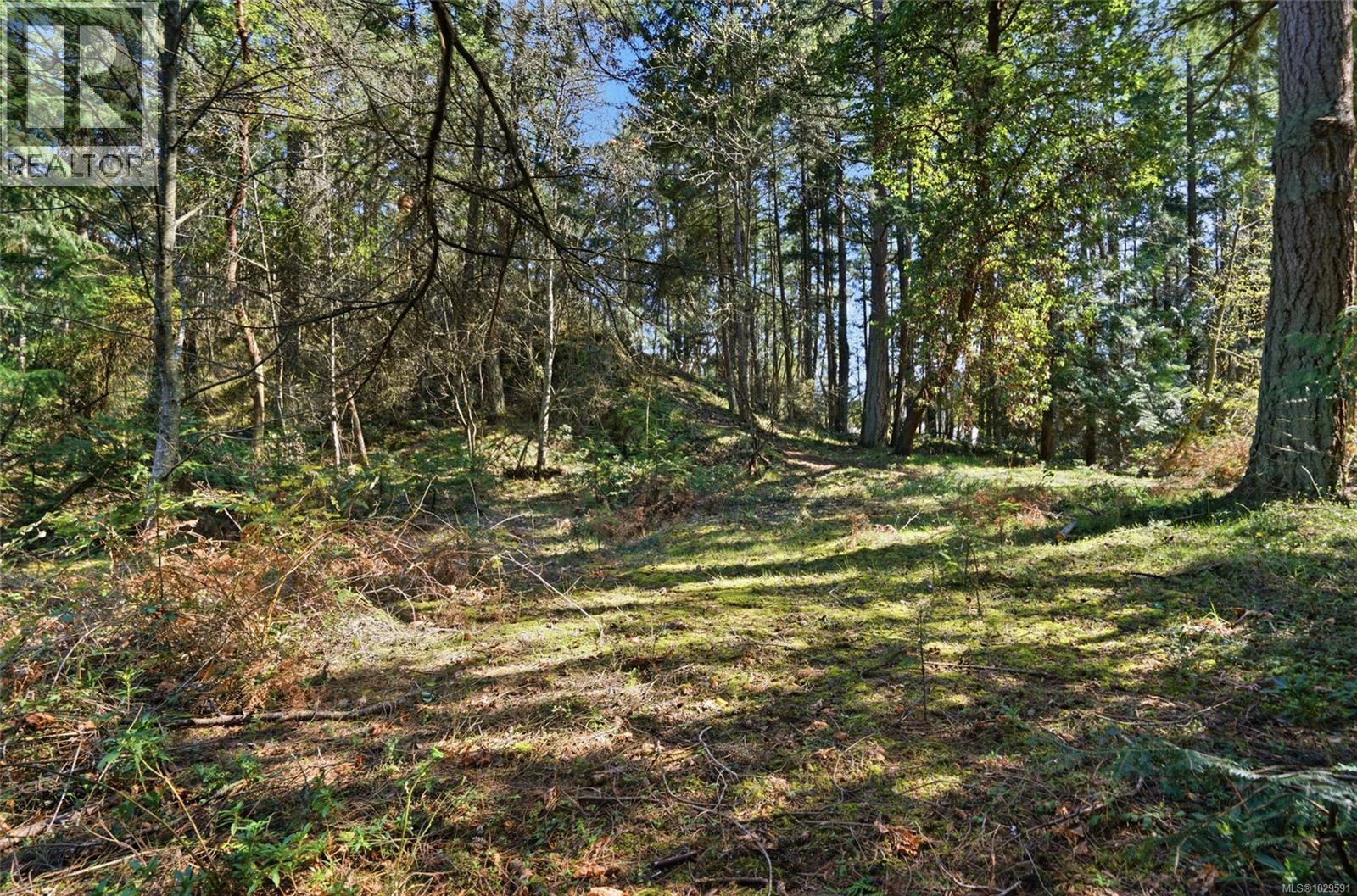4800 Mcguffie Rd Property Photo 33