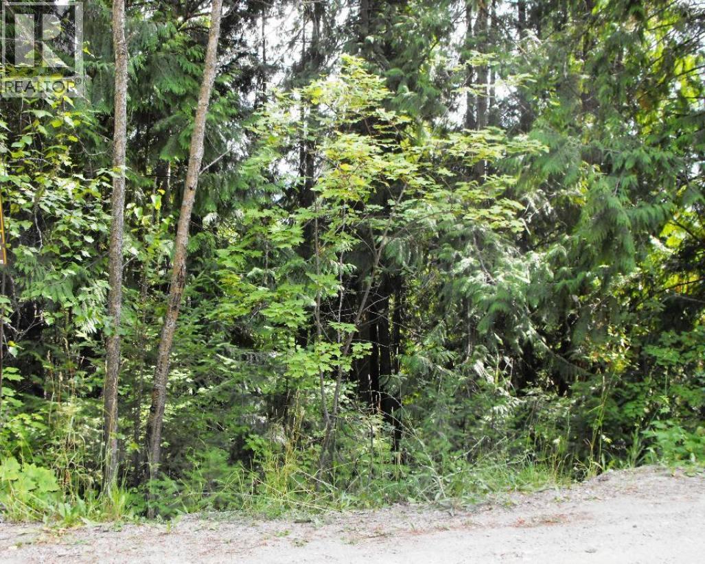 Lot 57 Lonneke Trail Property Photo 4