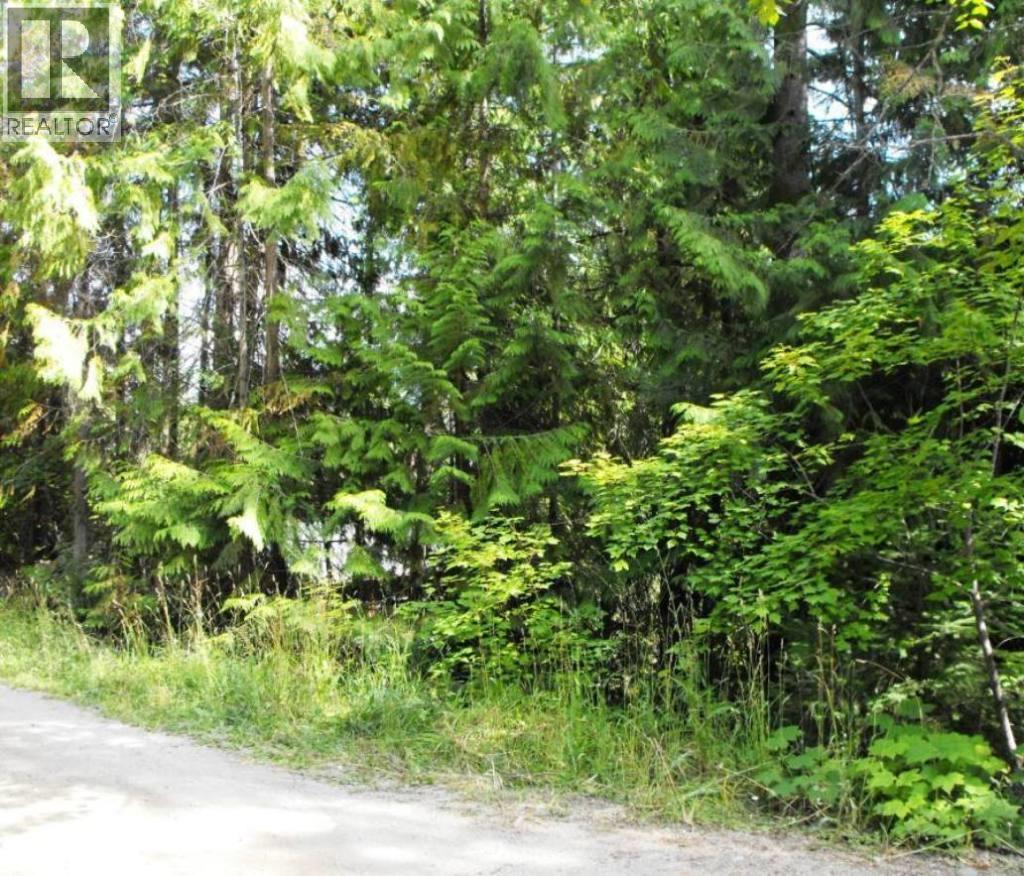 Lot 57 Lonneke Trail Property Photo 5
