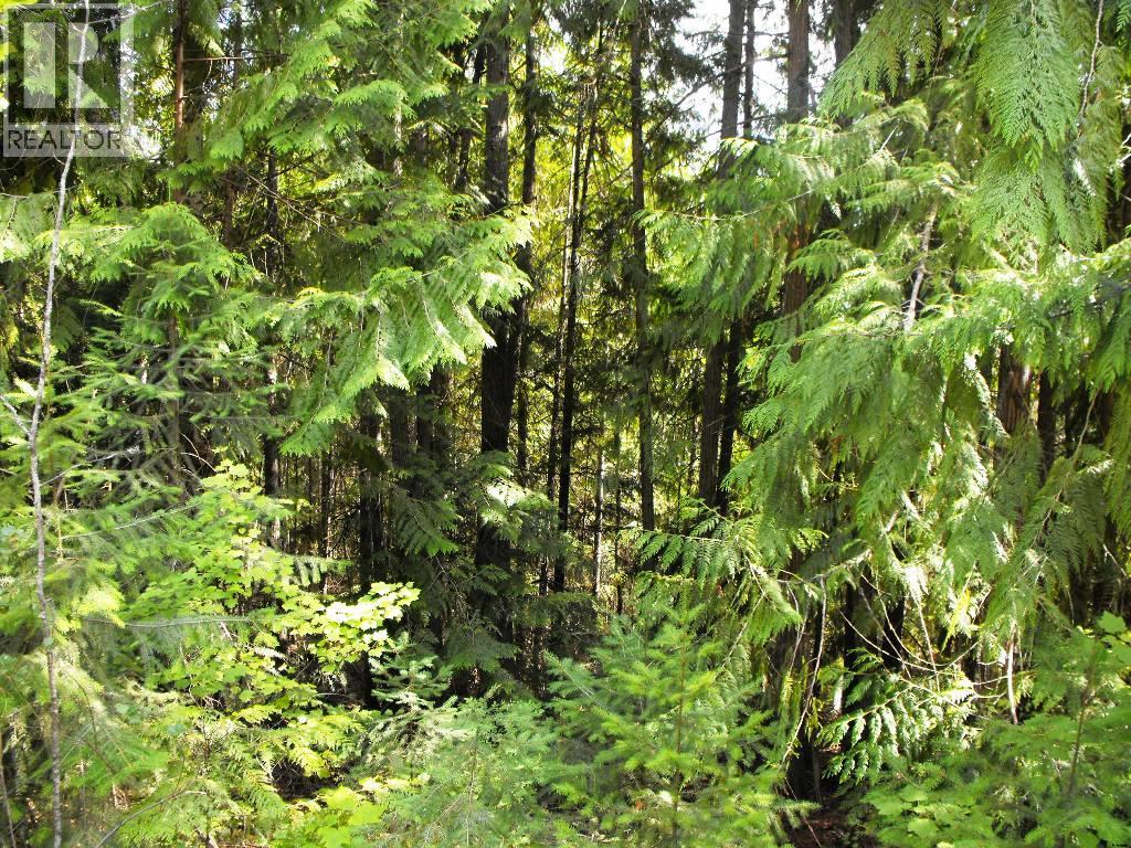 Lot 57 Lonneke Trail Property Photo 6