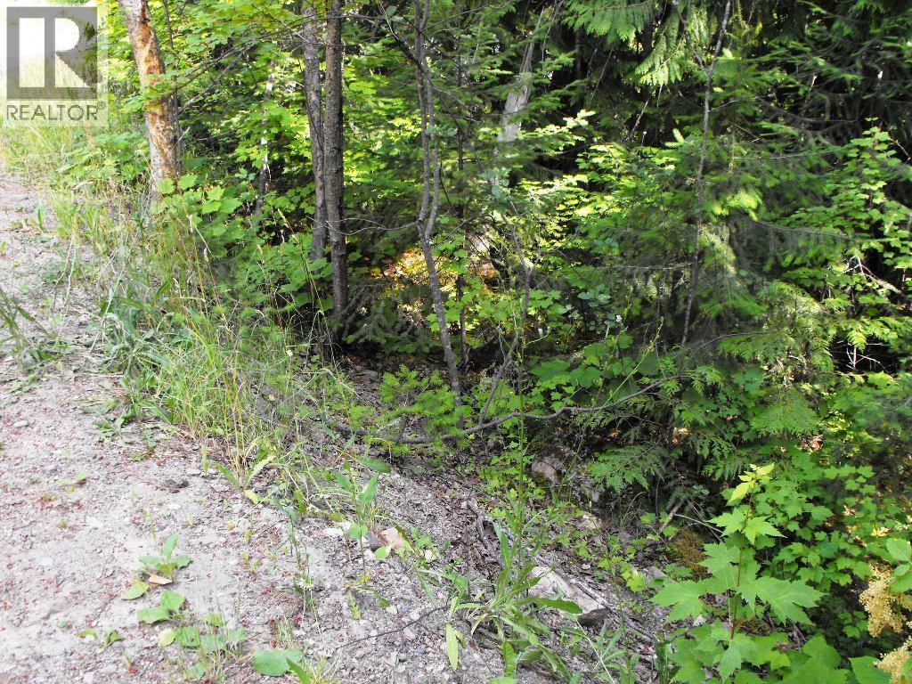 Lot 57 Lonneke Trail Property Photo 7