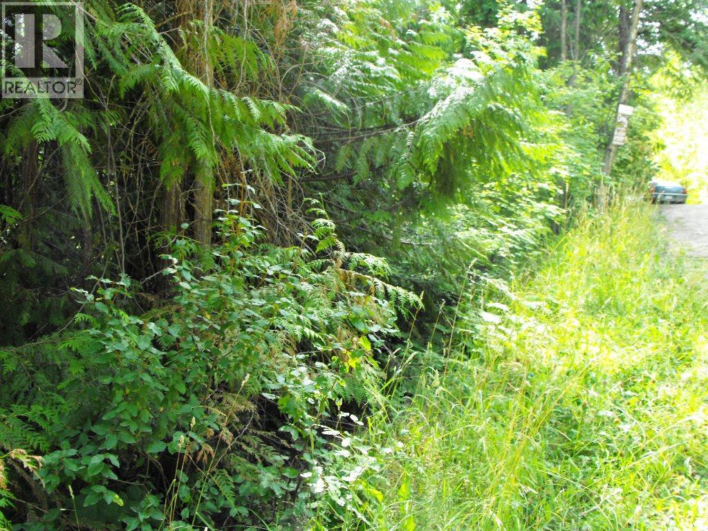 Lot 57 Lonneke Trail Property Photo 8