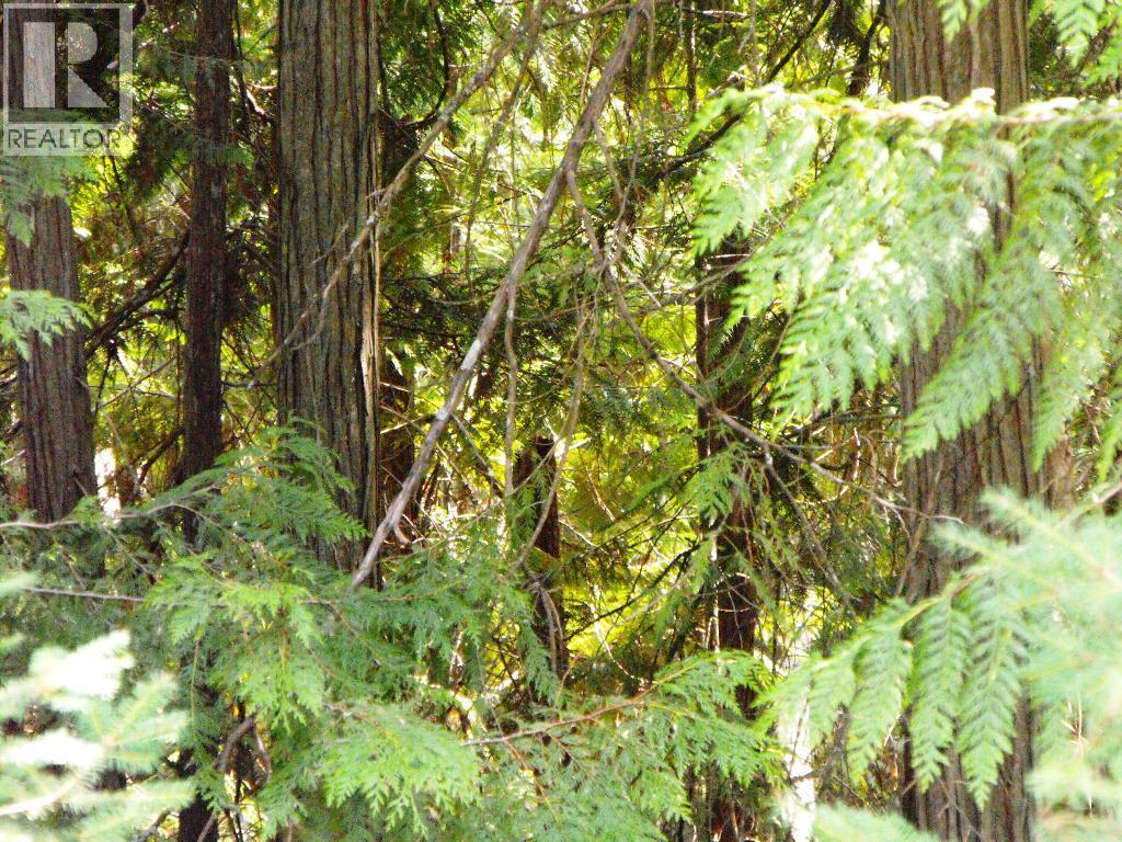 Lot 57 Lonneke Trail Property Photo 9
