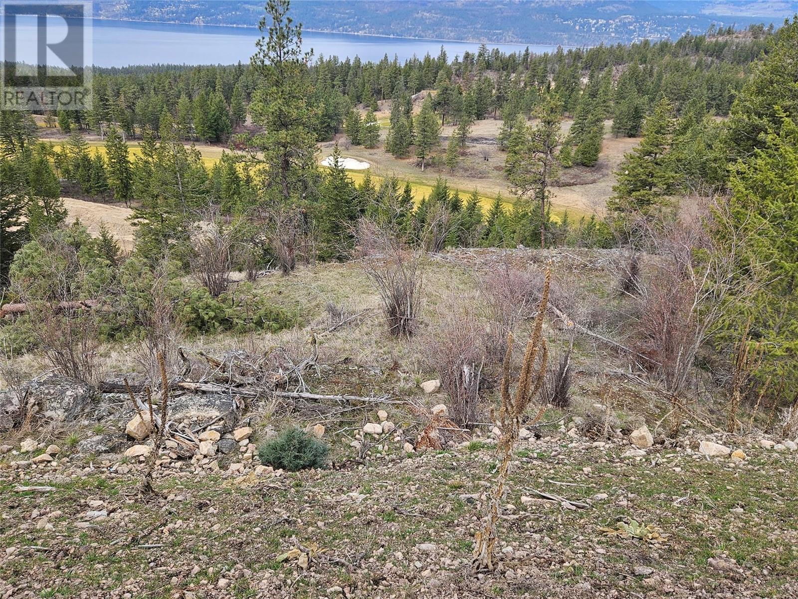 712 Predator Ridge Drive Lot# 40 Property Photo 8