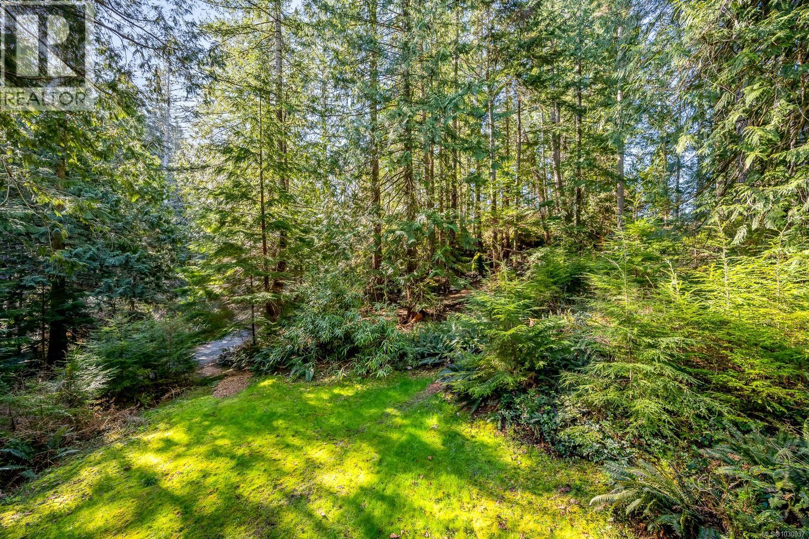 421 Whaletown Rd Property Photo 33
