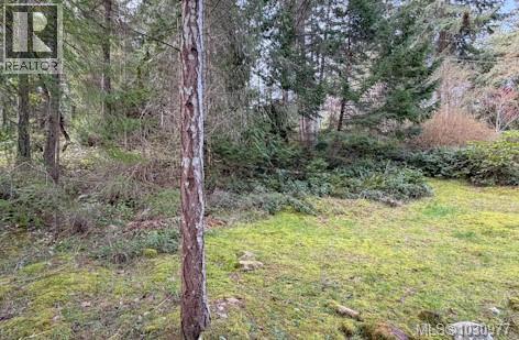 Lot 13 Easthom Rd Property Photo 8