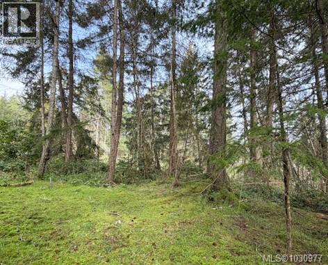 Lot 13 Easthom Rd Property Photo 13