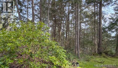 Lot 13 Easthom Rd Property Photo 14