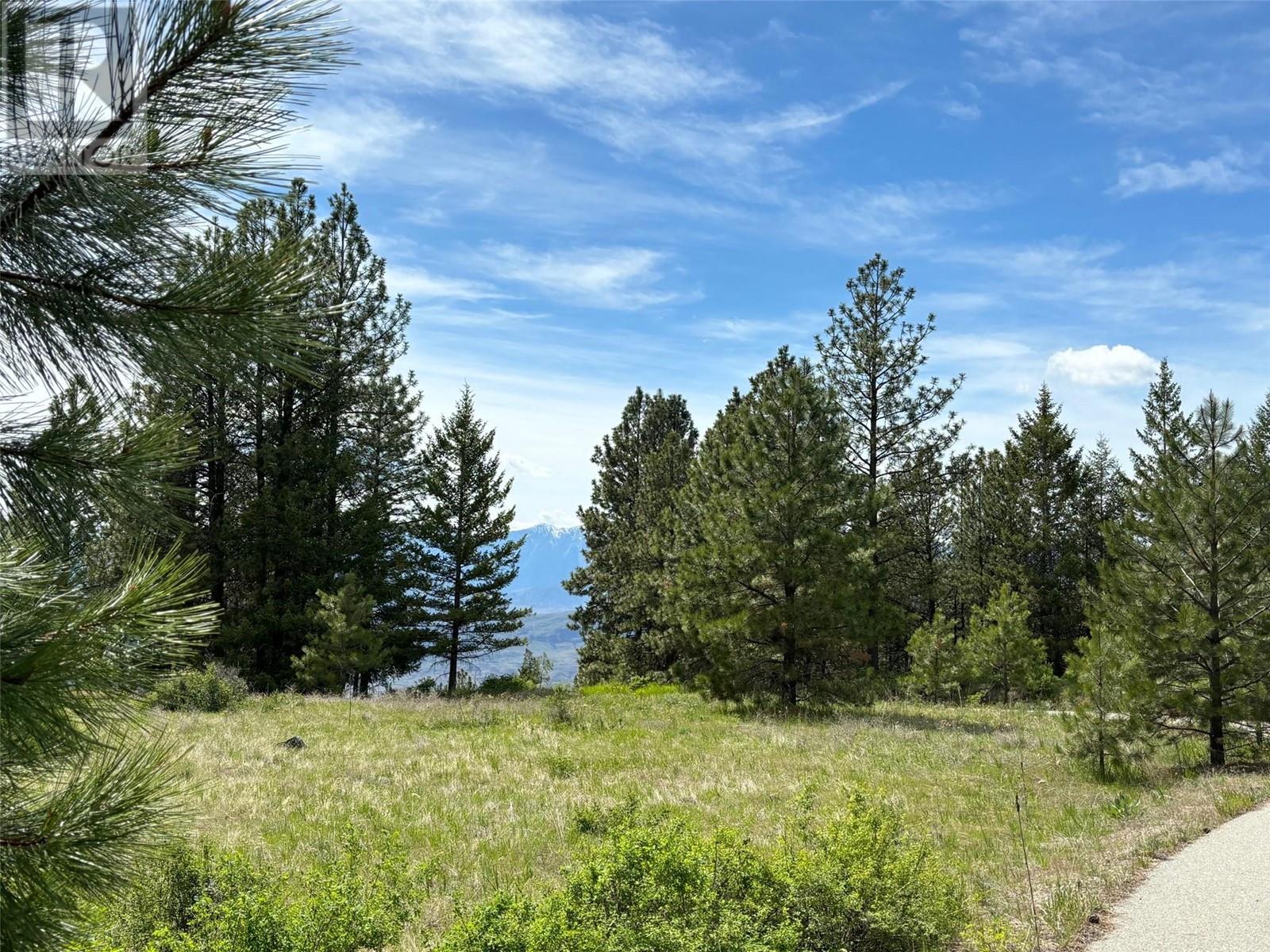 500 Sasquatch Trail Property Photo 4