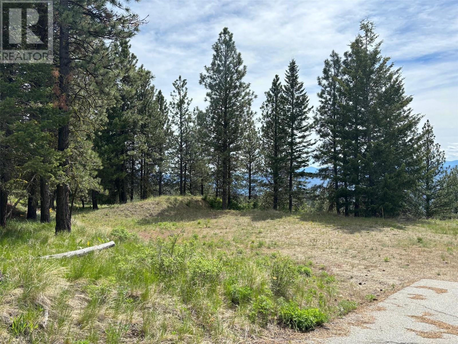 500 Sasquatch Trail Property Photo 7