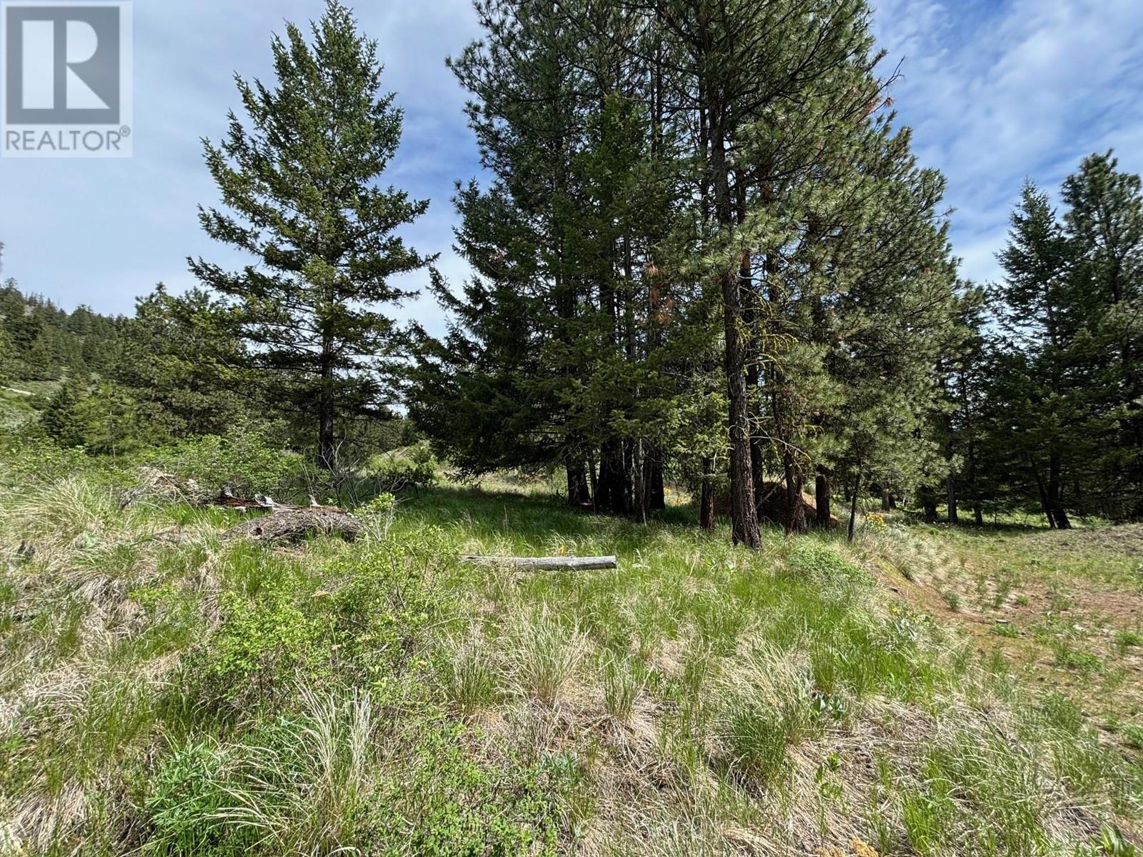 500 Sasquatch Trail Property Photo 8