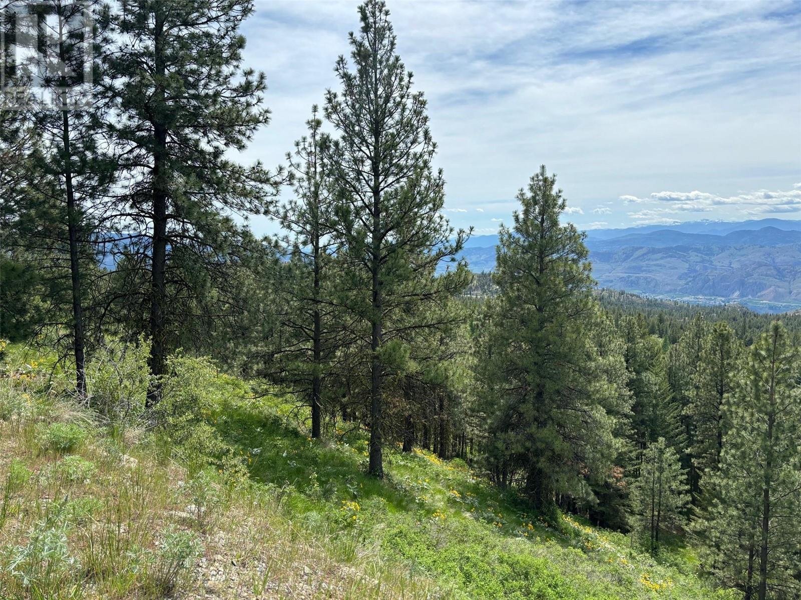 500 Sasquatch Trail Property Photo 10