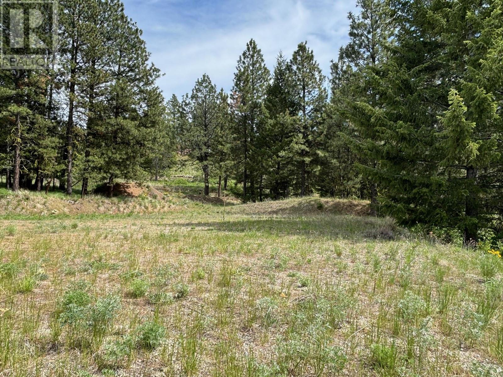 500 Sasquatch Trail Property Photo 11
