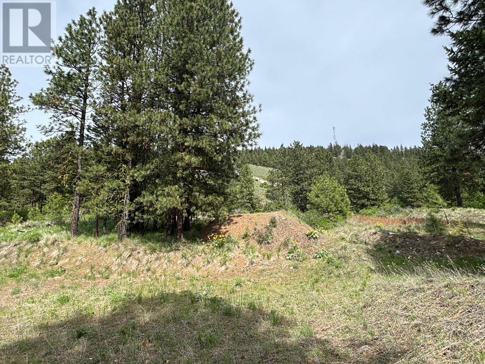 500 Sasquatch Trail Property Photo 12