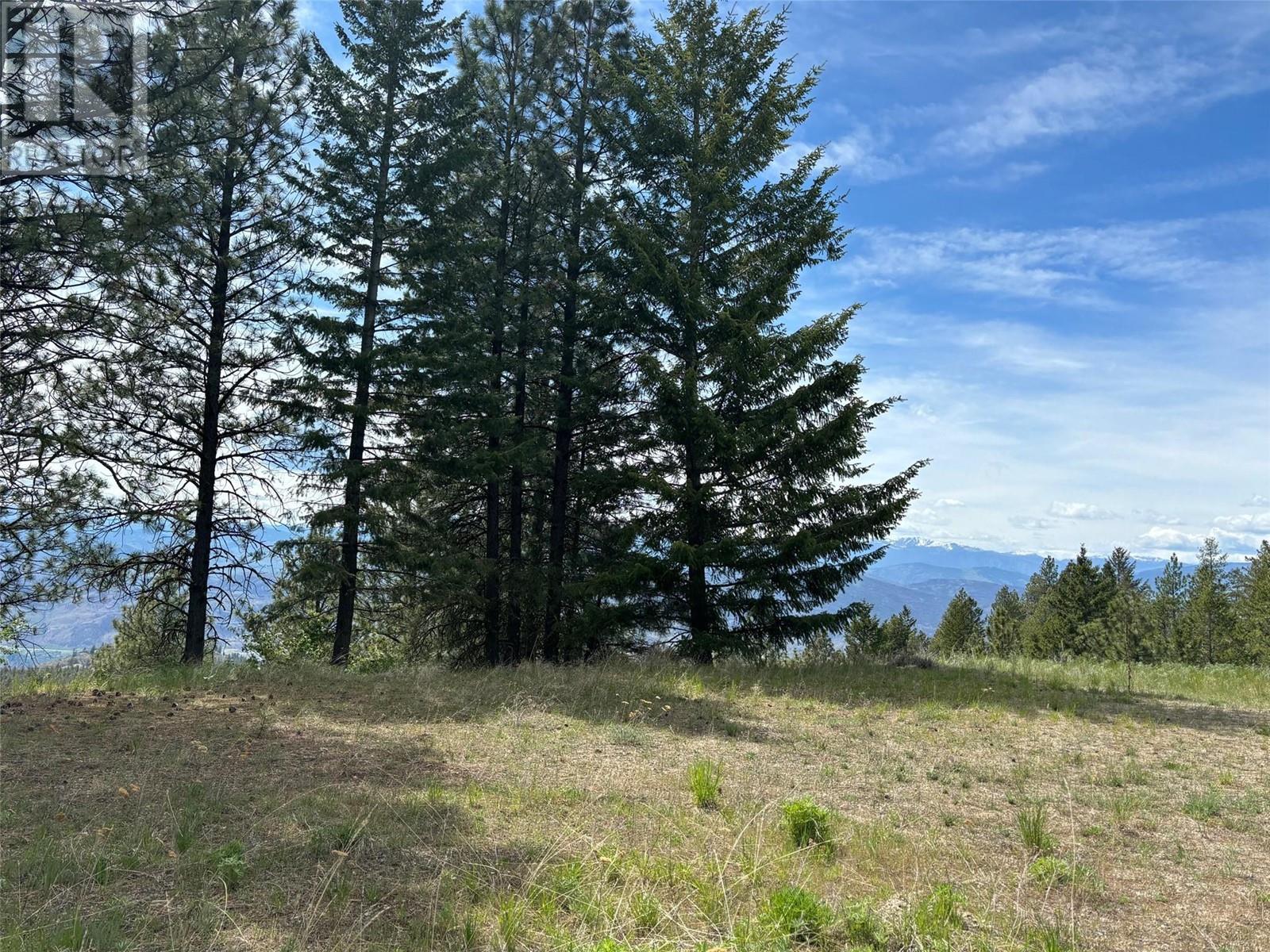 500 Sasquatch Trail Property Photo 13