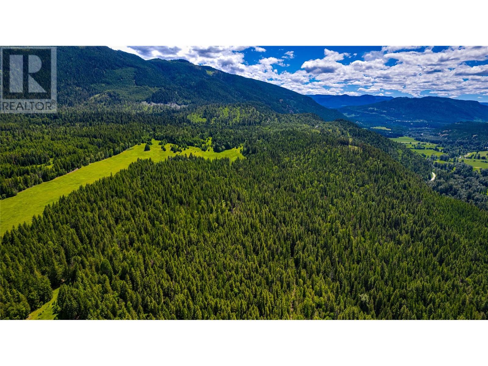 2301 Lumby Mabel Lake Road Lot# 1 Property Photo 59