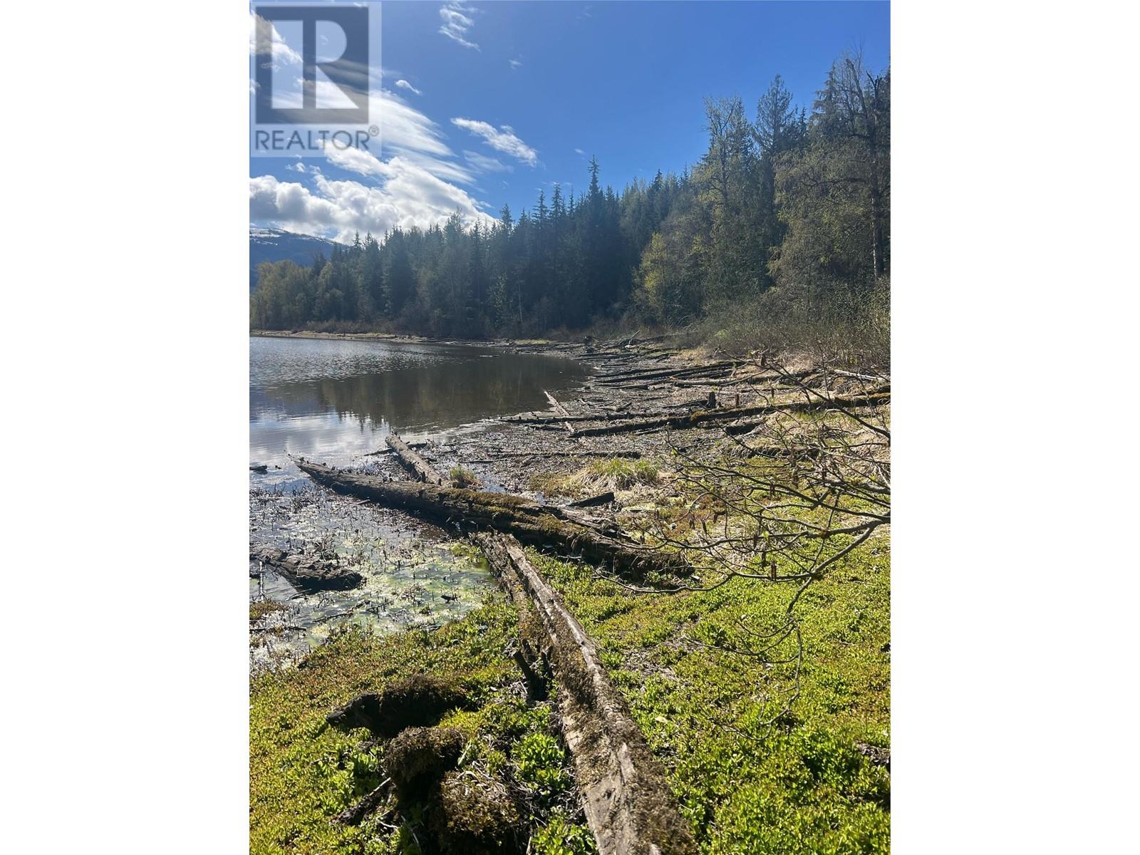 Adams Lake Real Estate Listings Main Image