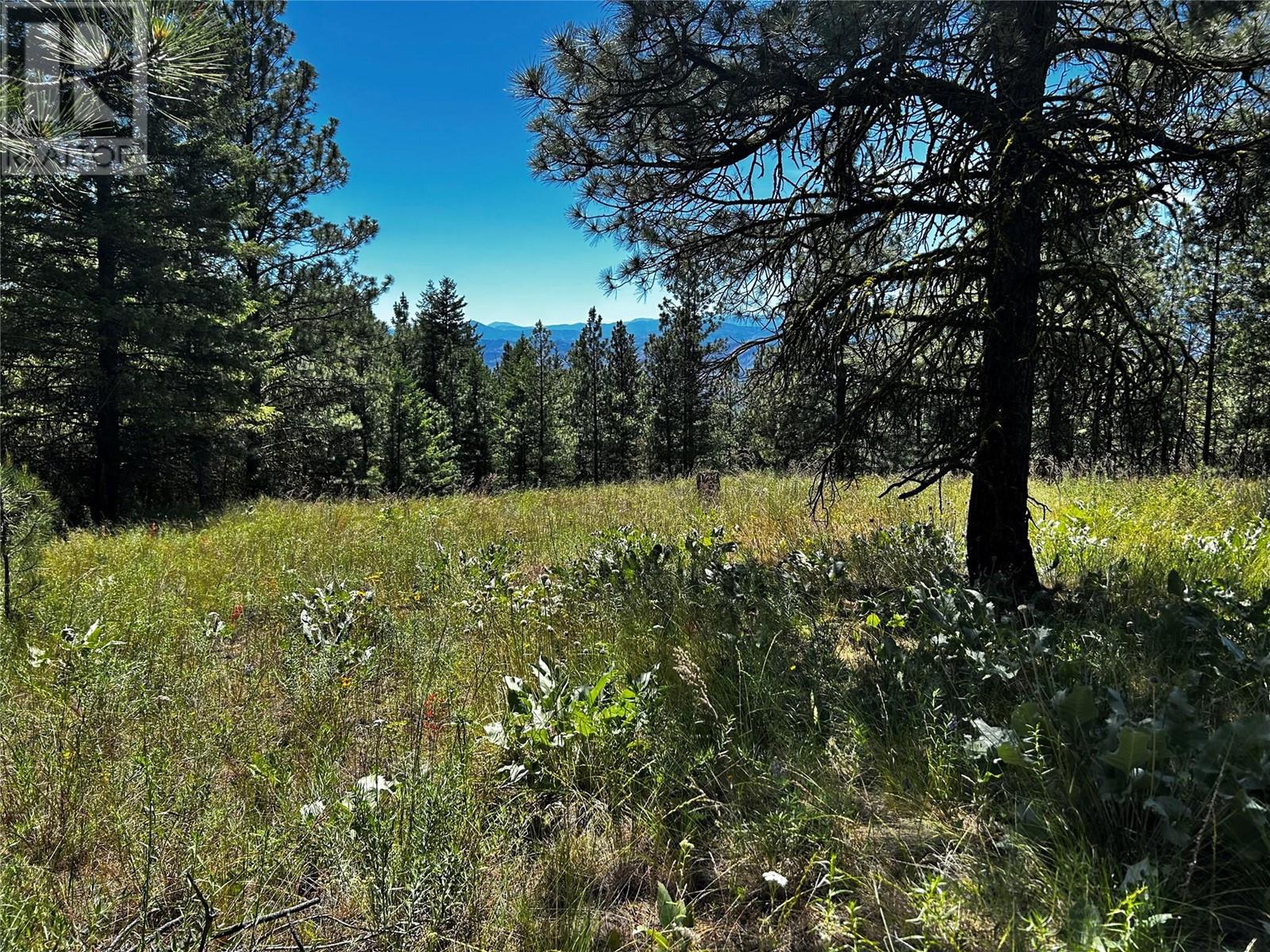 12 Mule Deer Point Property Photo 4