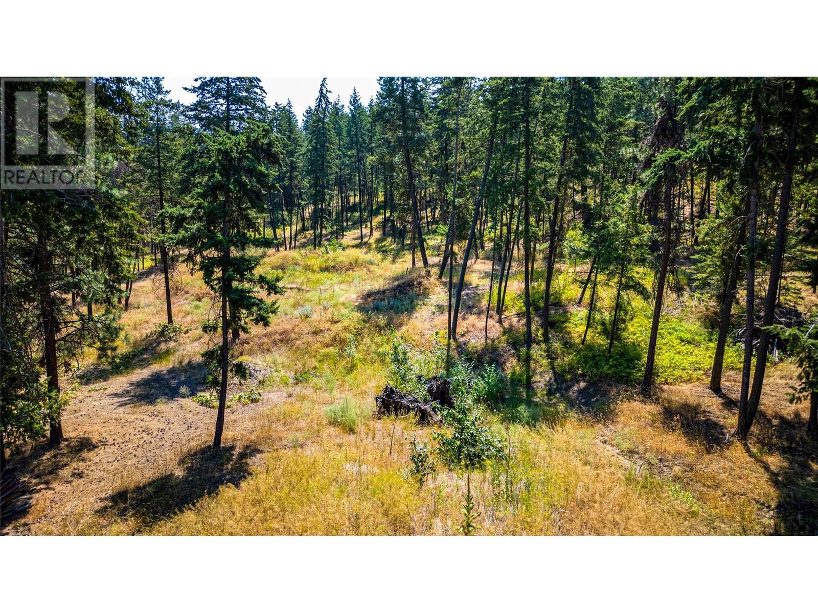 10080 Chase Road Property Photo 10