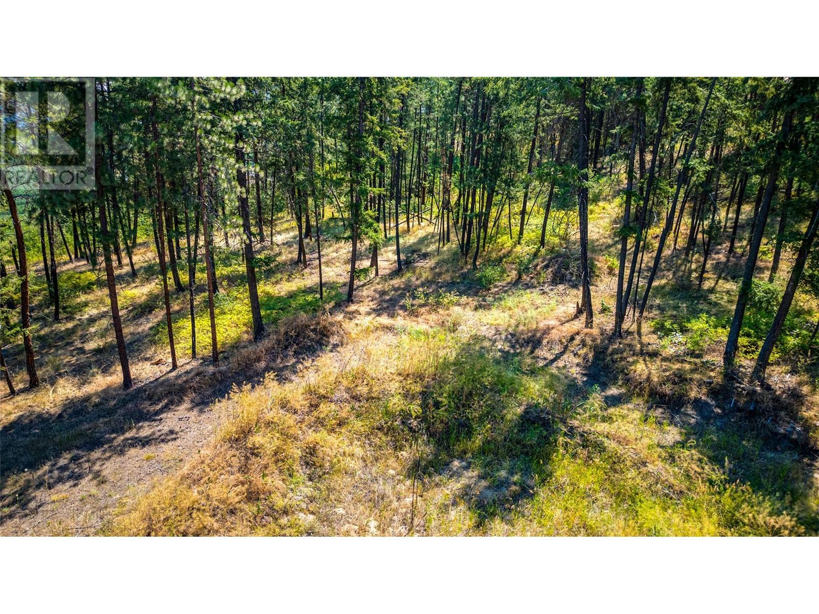 10080 Chase Road Property Photo 11