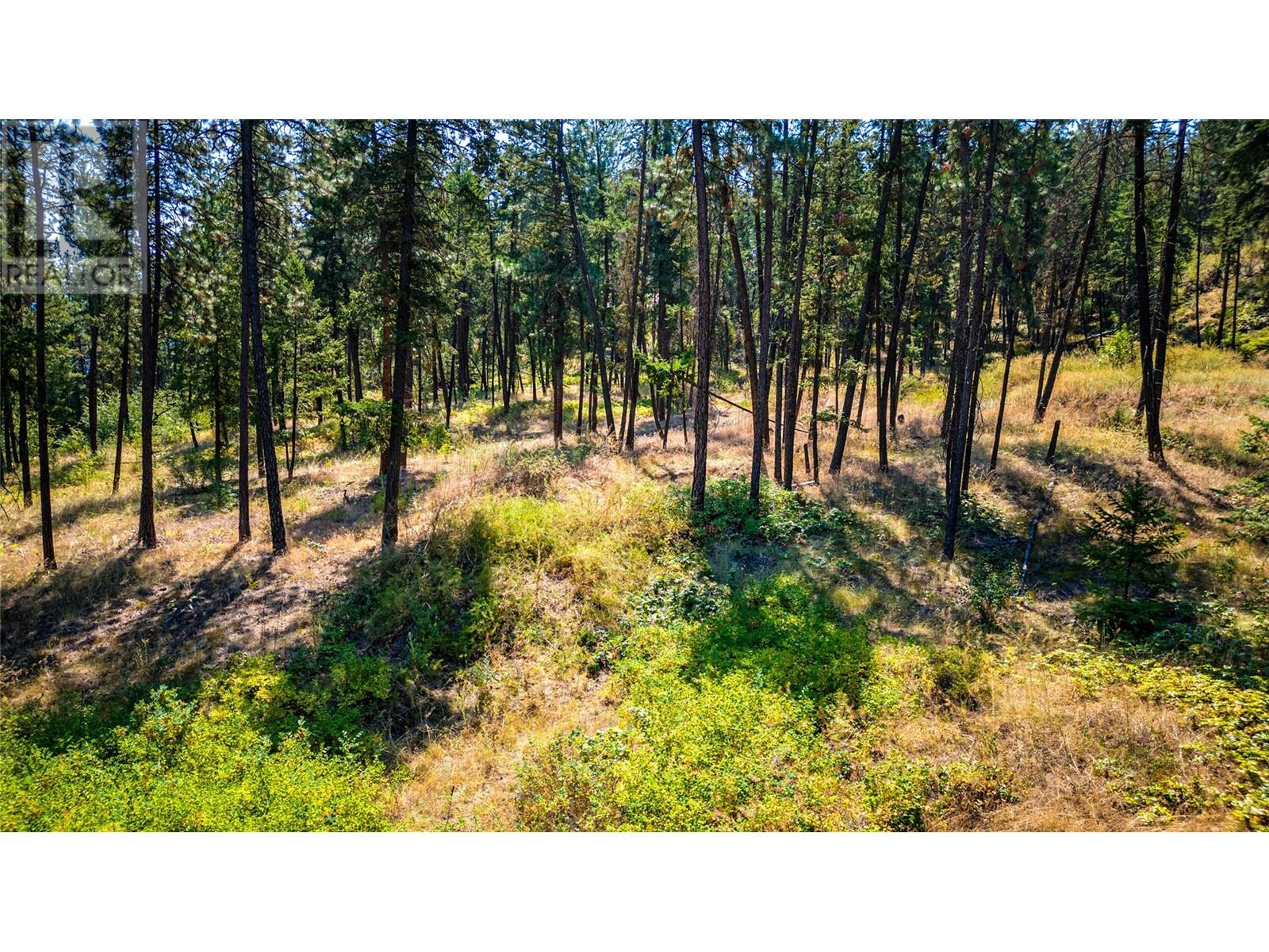 10080 Chase Road Property Photo 19