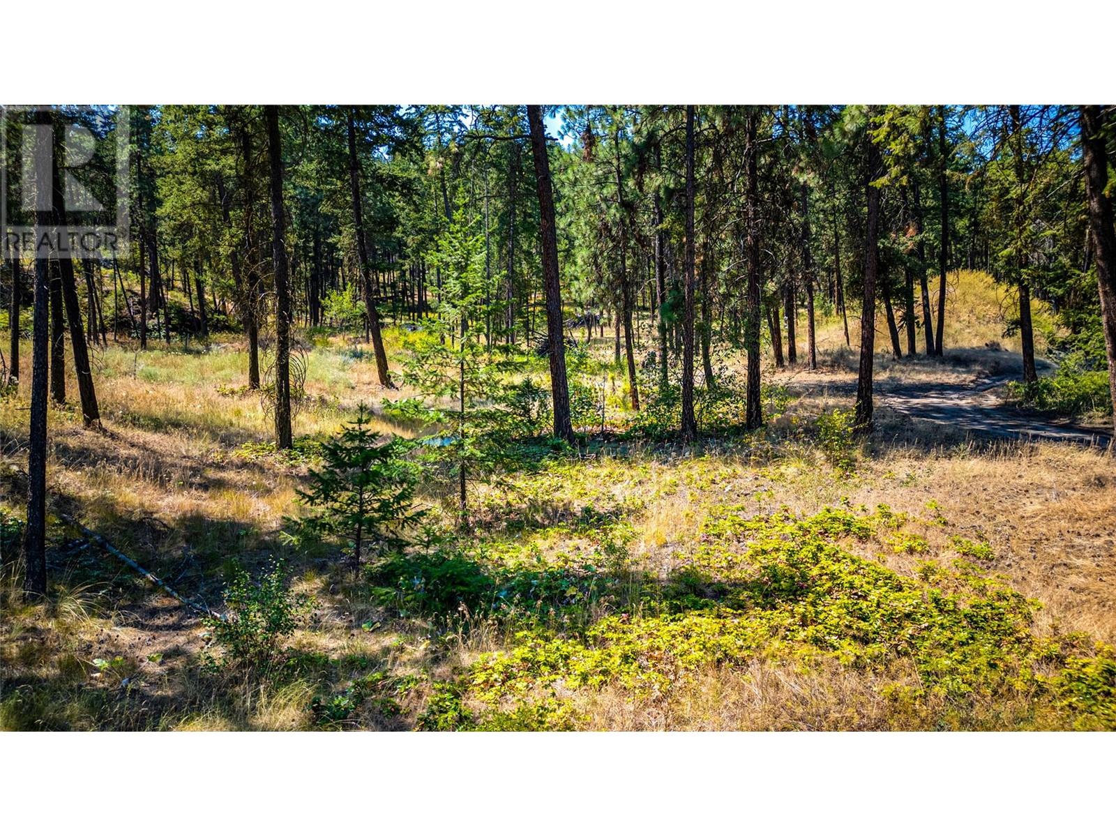 10080 Chase Road Property Photo 20