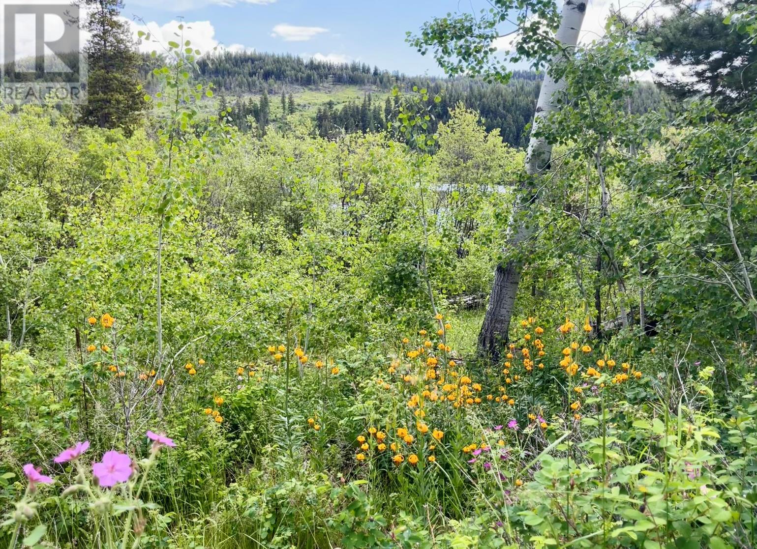 1000 Halfway Lake Road Property Photo 71