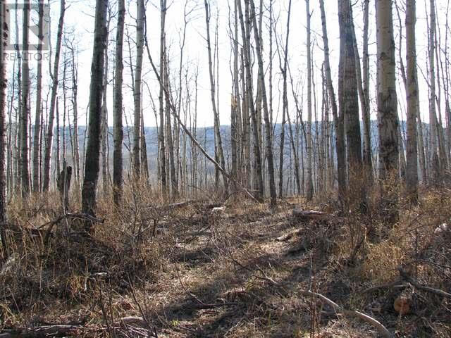 On 227 Road Lot# Lot 2 Property Photo 6