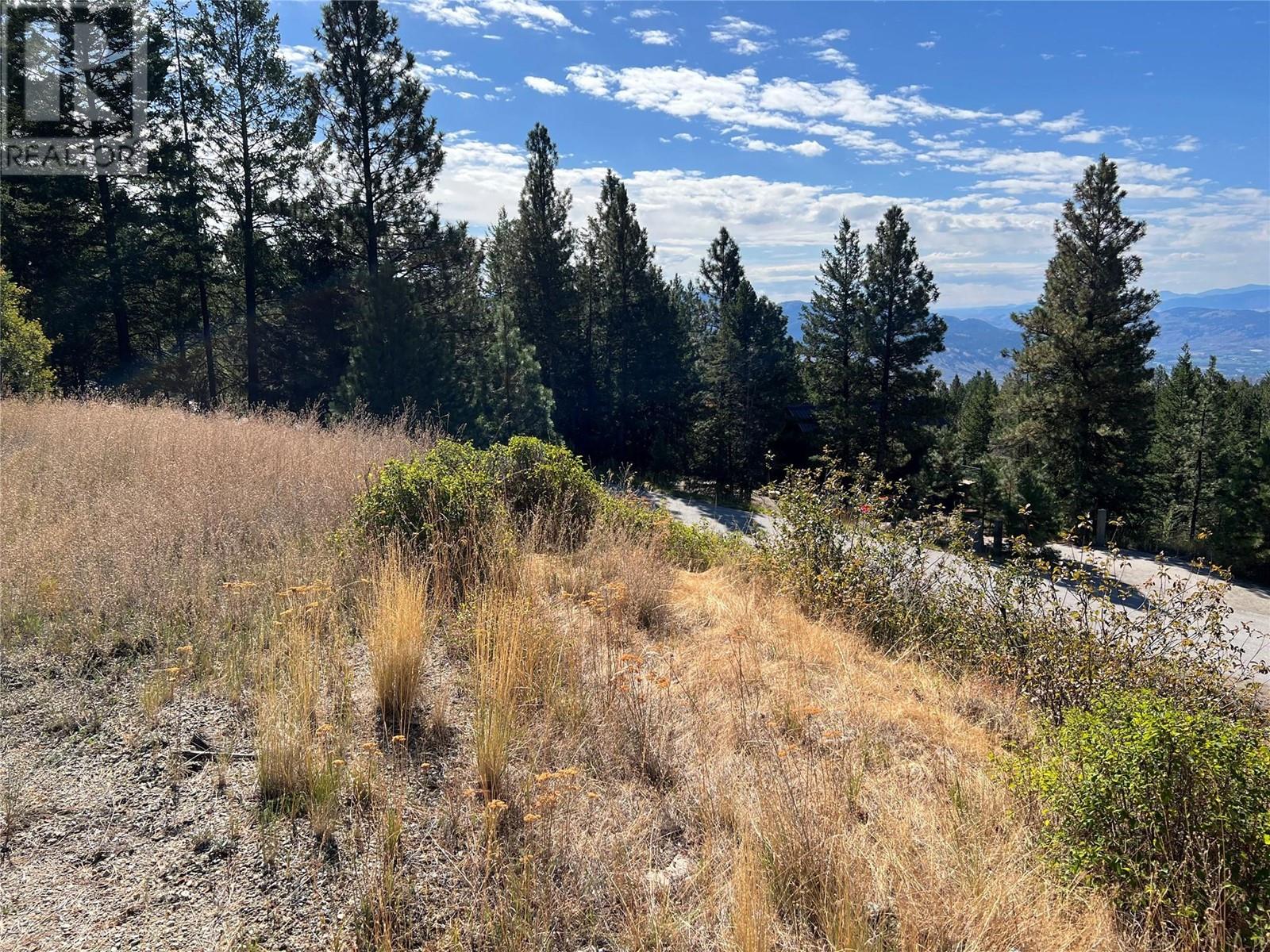 Lot 39 Sasquatch Trail Trail Property Photo 2