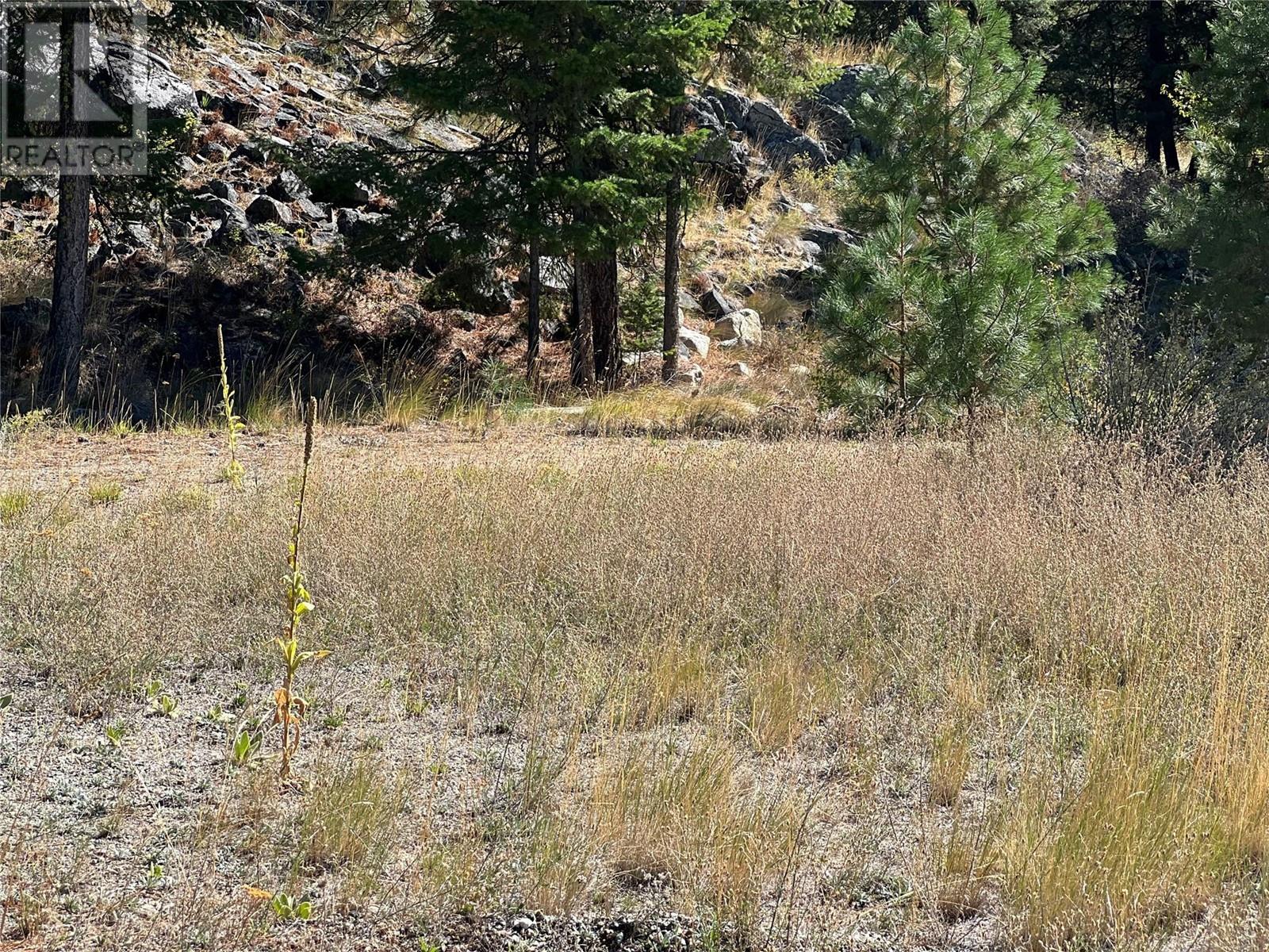 Lot 39 Sasquatch Trail Trail Property Photo 5