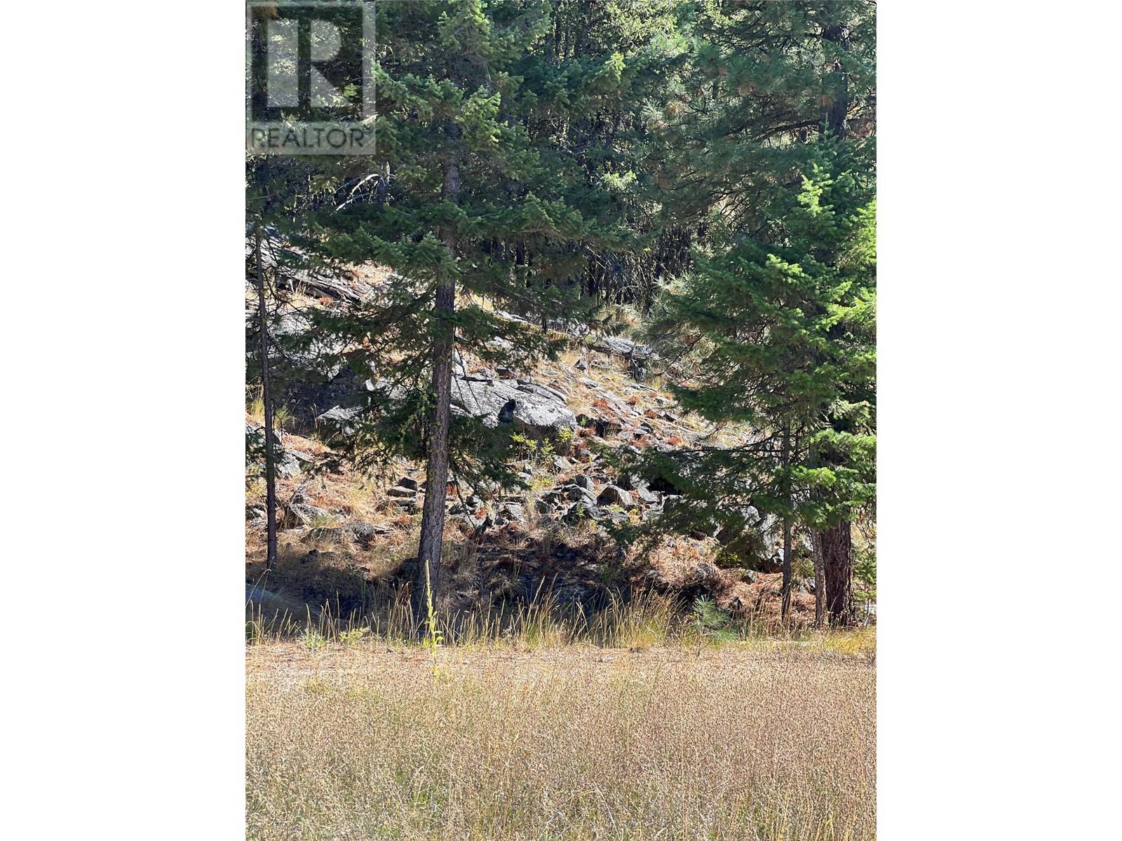 Lot 39 Sasquatch Trail Trail Property Photo 6