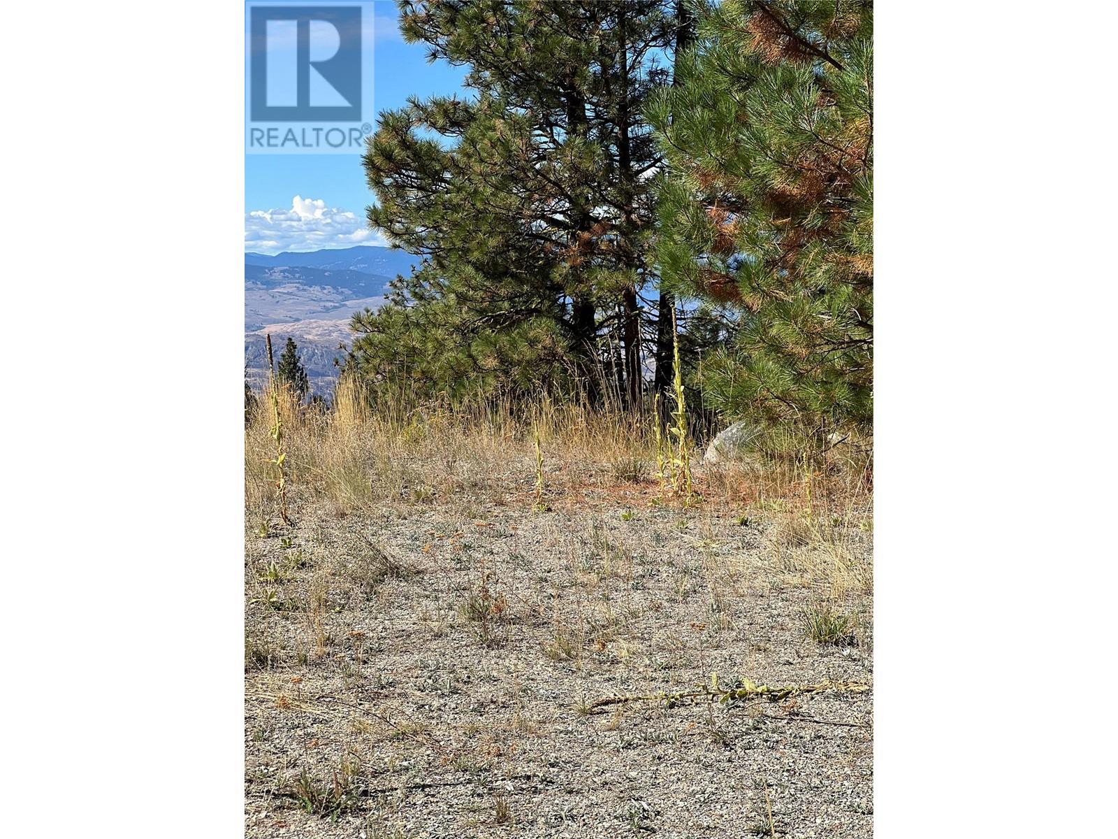 Lot 39 Sasquatch Trail Trail Property Photo 8
